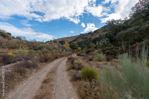 dirt road in the mountains