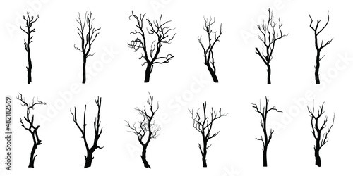 Black Branch Tree or Naked trees silhouettes set. Hand drawn isolated illustrations.