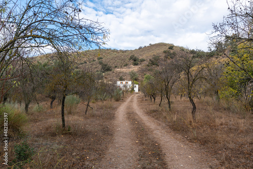 dirt road to a country house