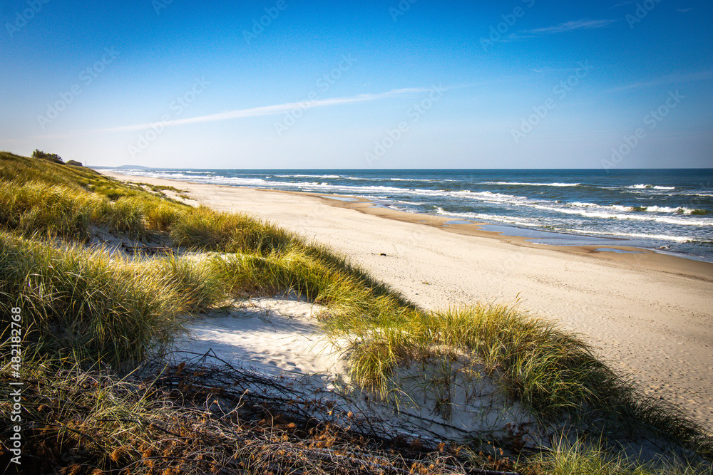 beach near nida, curonian spit, lithuania, nida, baltic countries, baltics, europe, baltic sea beach near nida, curonian spit, lithuania, nida, baltic countries, baltics, europe, baltic sea