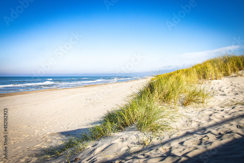 beach near nida, curonian spit, lithuania, nida, baltic countries, baltics, europe, baltic sea