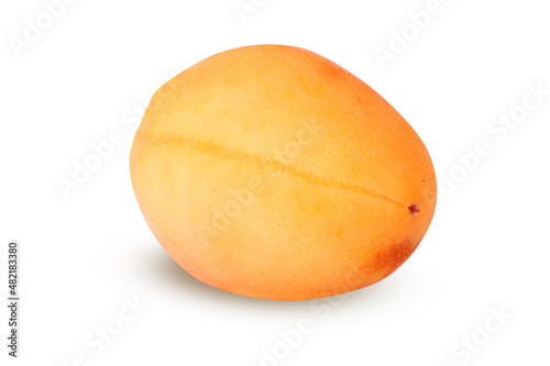 Apricot on an isolated white background