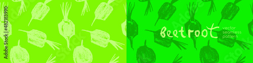 Vector beetroot pattern seamless. Sugar beet background for label, banner, packaging design. Fabric vegan ornament. Vegetarian background. Pencil Illustration. Vegan wallpaper. Purple root vegetable.