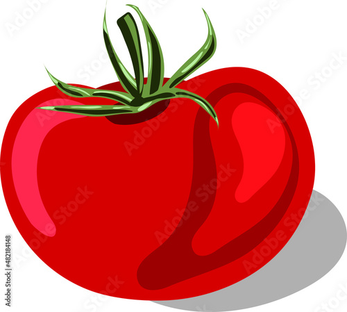 Red tomato on a white background. Vector image. Illustration.