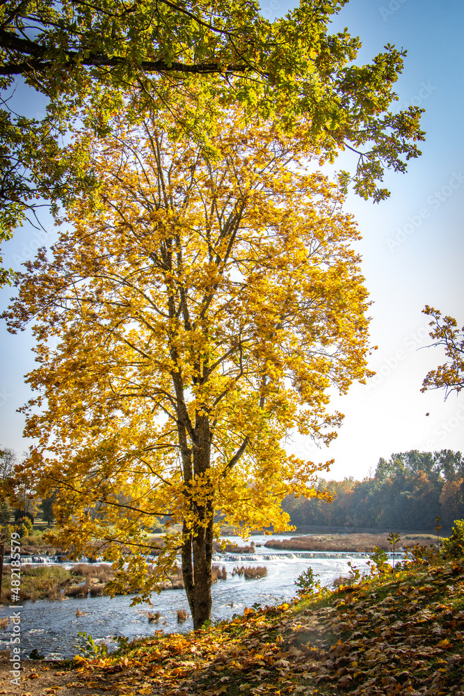 autumn colours in Kuldiga, Latvia, autumn, Venta River, Baltics, Baltic countries, Baltics, Europe