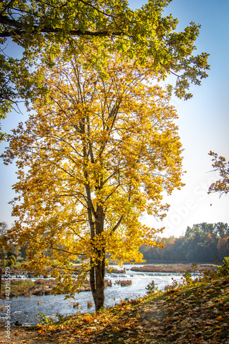 autumn colours in Kuldiga  Latvia  autumn  Venta River  Baltics  Baltic countries  Baltics  Europe