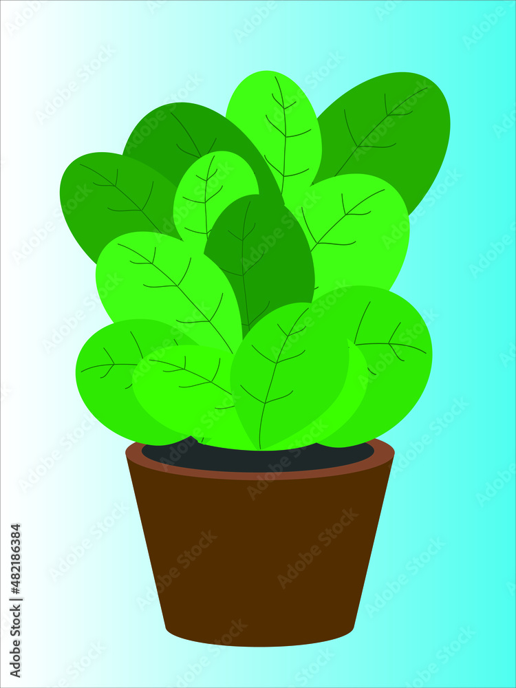 Ficus flower in a pot. Illustration of a houseplant in a flat style. Vector of indoor plants in pots. A fashionable print of botanical art to create a wide range of items. EPS10.