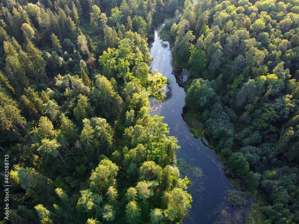 River and green forest aerial view River and green forest aerial view