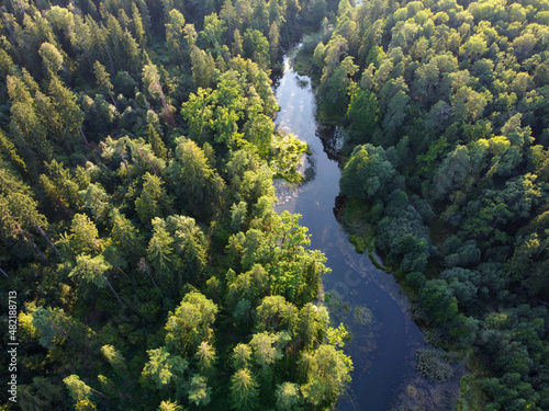 River and green forest aerial view