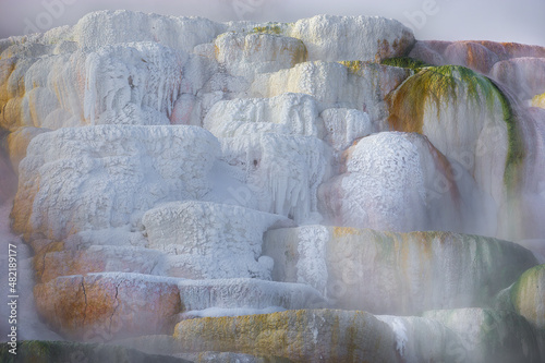 Travertine Terraces of Mammoth Hot Springs in Yellowstone National Park photo