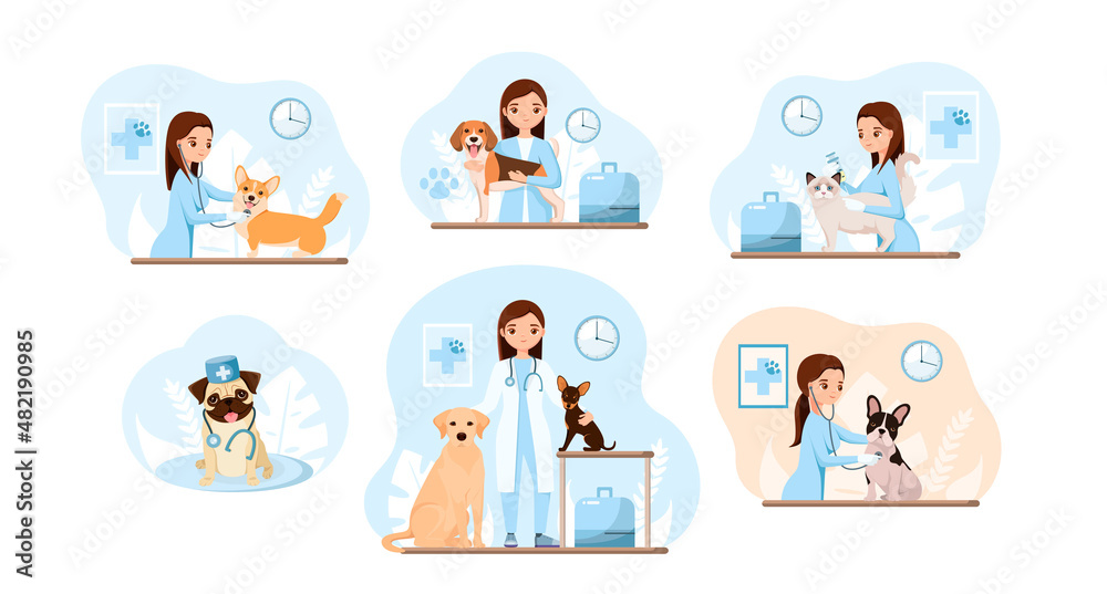 A set of illustrations. Veterinarian with pets. Flat design.
