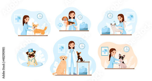 A set of illustrations. Veterinarian with pets. Flat design. 