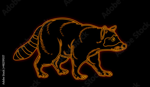 Funny animals, raccoon. Neon light. Design of advertising banners and sites. Glowing sign.