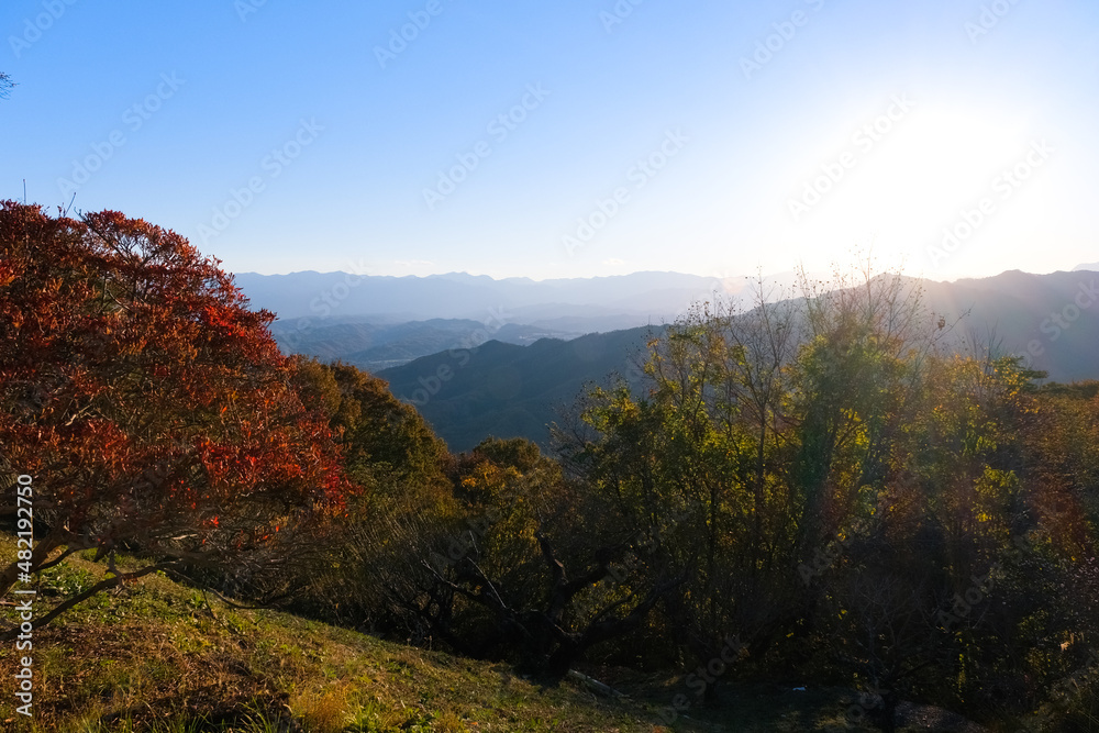 埼玉県秩父郡長瀞町 秋の宝登山から見る夕日