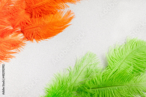 indian flag colors from feathers concept background for republic day photo