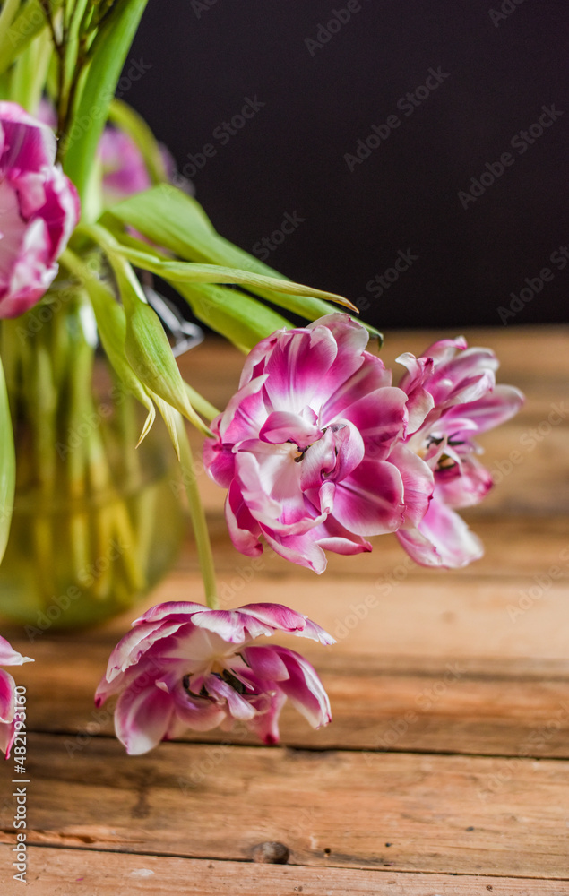 Blumenstrauß mit verblühten Tulpen, Blumen im Frühling Blumenstrauß mit verblühten Tulpen, Blumen im Frühling