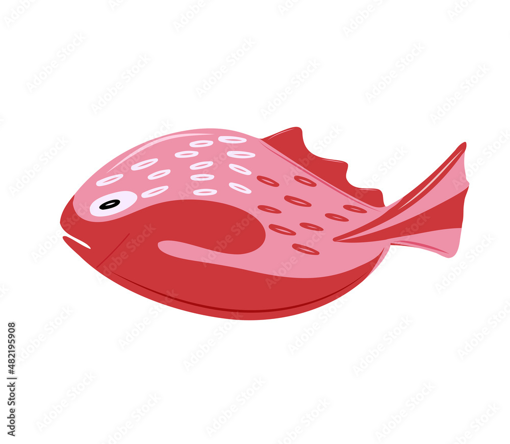 Cartoon character Coral fish isolated on white background. Hand drawn underwater aquatic creature. Template of cute ocean fish. Education card for kids learning animals. Vector design in cartoon style Cartoon character Coral fish isolated on white background. Hand drawn underwater aquatic creature. Template of cute ocean fish. Education card for kids learning animals. Vector design in cartoon style