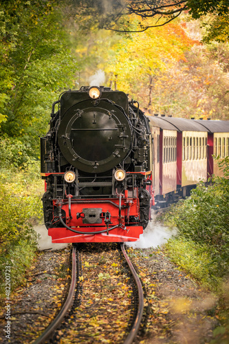 Dampflok im herbstlichen Wald. photo