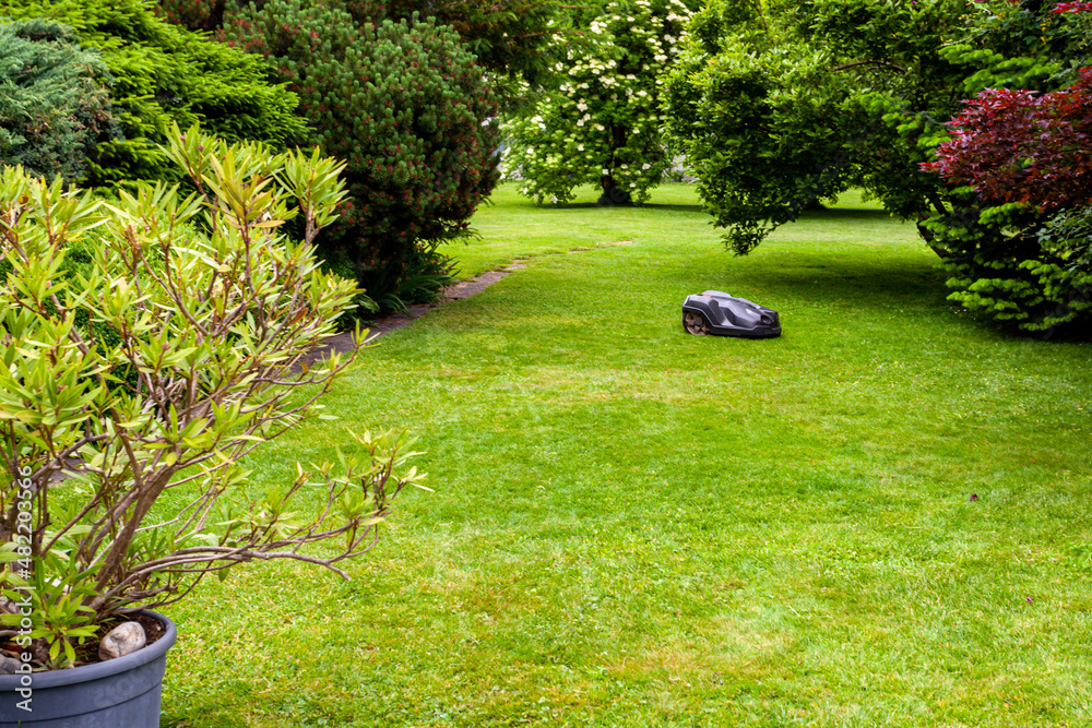 robotic lawnmower mowing garden lawn - obrazy, fototapety, plakaty 