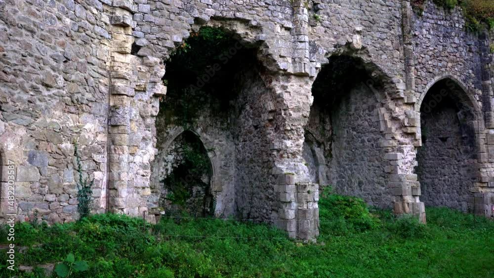 Details of the ruined Notre-Dame de Laval church in Peyrusse-le-roc, France. Old abandoned church with vegetation taking over Details of the ruined Notre-Dame de Laval church in Peyrusse-le-roc, France. Old abandoned church with vegetation taking over