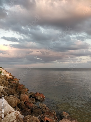 Nature and sights from around Florida