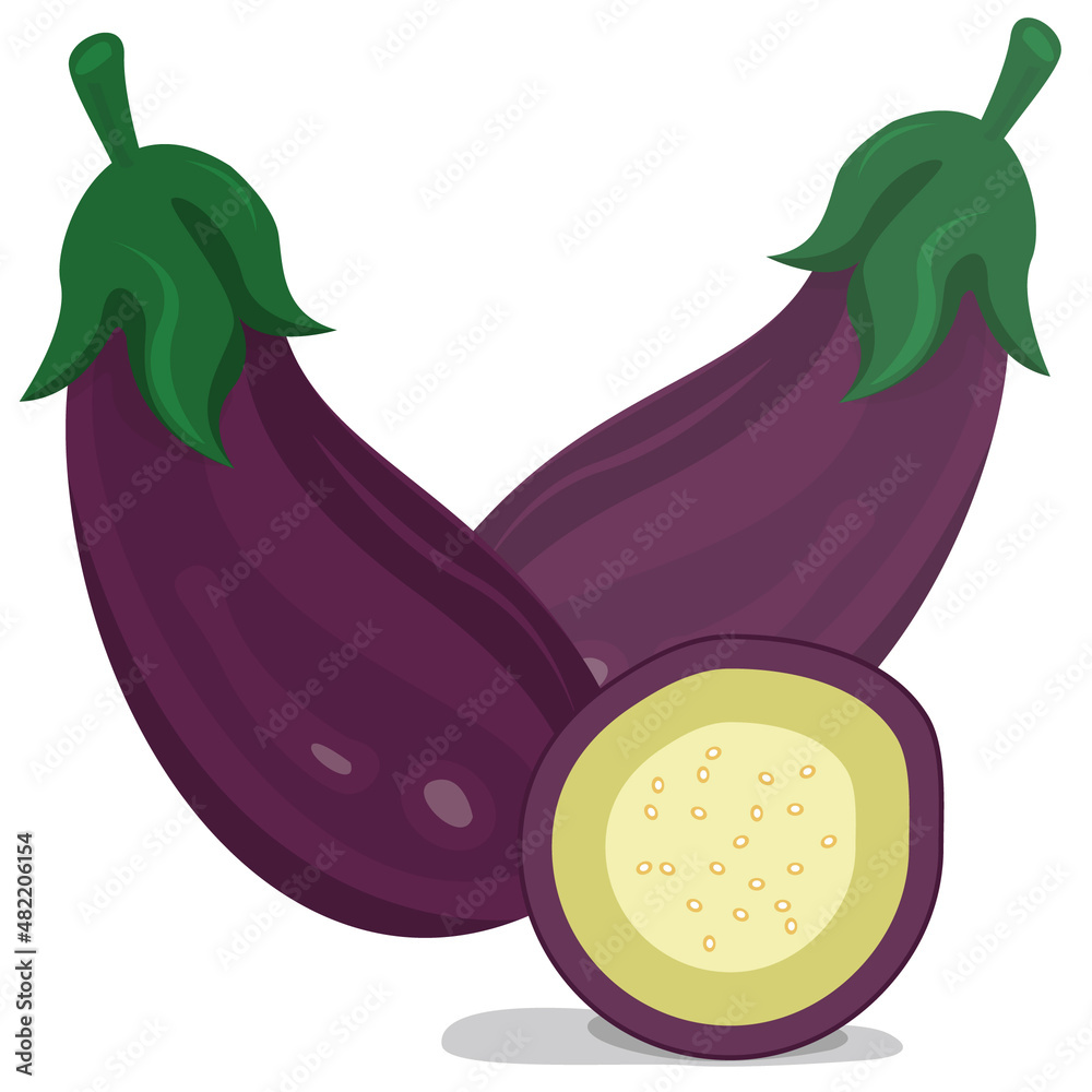 illustration of a set of vegetables eggplant illustration of a set of vegetables eggplant
