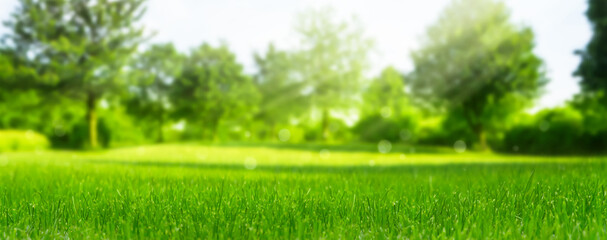 beautiful blurred green nature background with green meadow in foreground, idyllic area for recreation, fresh springtime or summertime concept with copy space