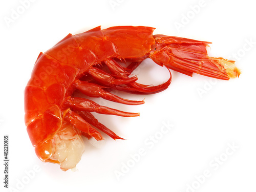 Gamba Carabiniera - Carabinero Shrimp isolated on white Background photo