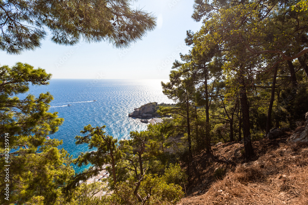 beautiful view through the branches of the blue sea beautiful view through the branches of the blue sea