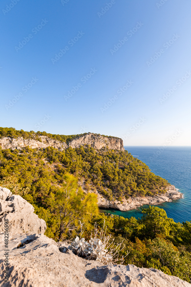 big rock with forest and azure sea in summer