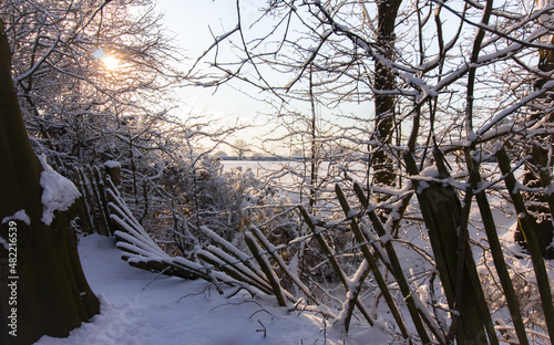 Snow in Canterbury, with the sun shining through the trees. A fallen fence is in the foreground