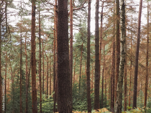 Sächsische Schweiz © Sophie Z.