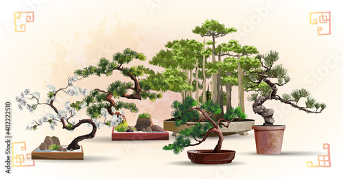 Set of bonsai Japanese trees grown in containers. Beautiful realistic tree. Tree in bonsai style. Bonsai tree on the red box. Decorative little tree vector illustration. Nature art photo