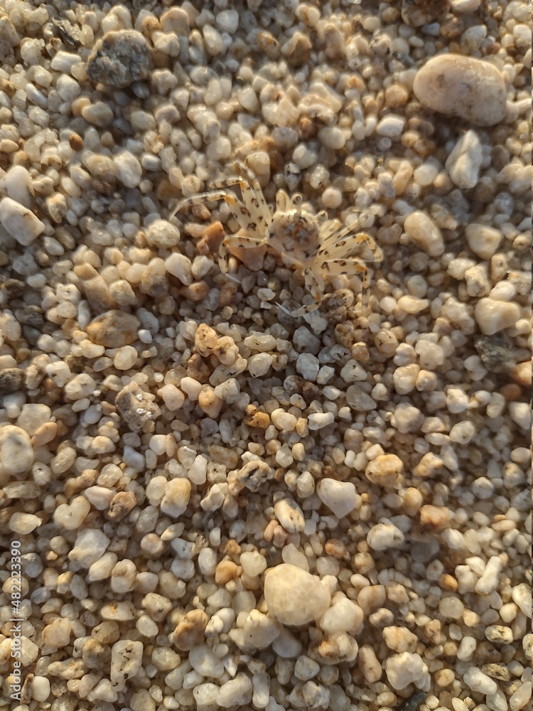 pebbles on the beach pebbles on the beach