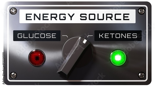 Energy Source: Ketones / Glucose