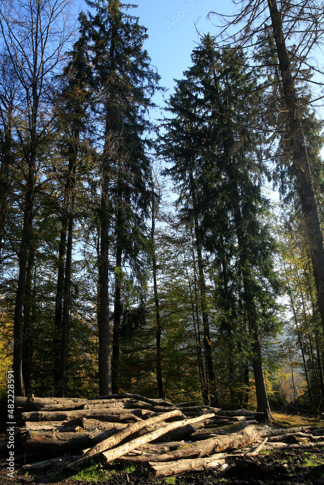 Fototapeta premium French Alps.