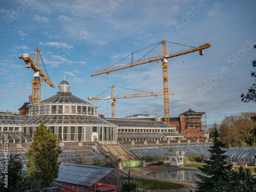 Botanisk have Palmehuset photo