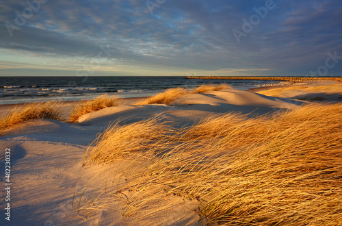 Wydmy na wybrzeżu Morza Bałtyckiego, Kołobrzeg, Polska © Konrad Uznański