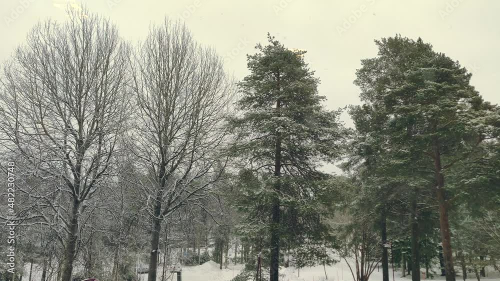 Tranquil snowfall in 4K video in the community ground with branched trees arounacd during the Winter. Cloudy day Outdoor background copy space. Tranquil snowfall in 4K video in the community ground with branched trees arounacd during the Winter. Cloudy day Outdoor background copy space.