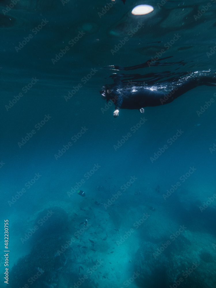 Obraz premium Women underwater snorkling