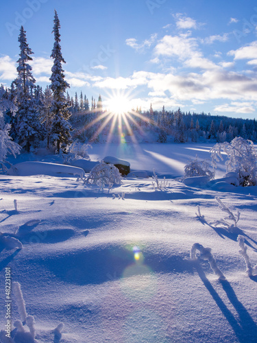 The sun shining at a low angle directly into the lens, creating a lens flare. Snowy landscape by the lake, Norwegian mountain © eclbirkeland