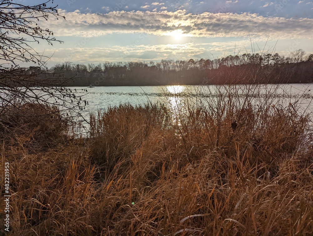 morning on the lake morning on the lake