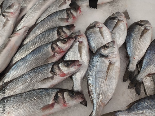 sea fresh fish lies in ice on a storefront