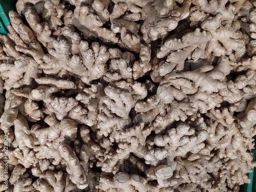 ginger root ready for sale