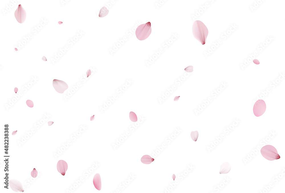 Sakura petals backdrop. Holiday cherry vector