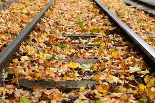 Colorful autumn leaves lie on the ground between the rails and form a beautiful background next to the tracks that you can see on the left and right