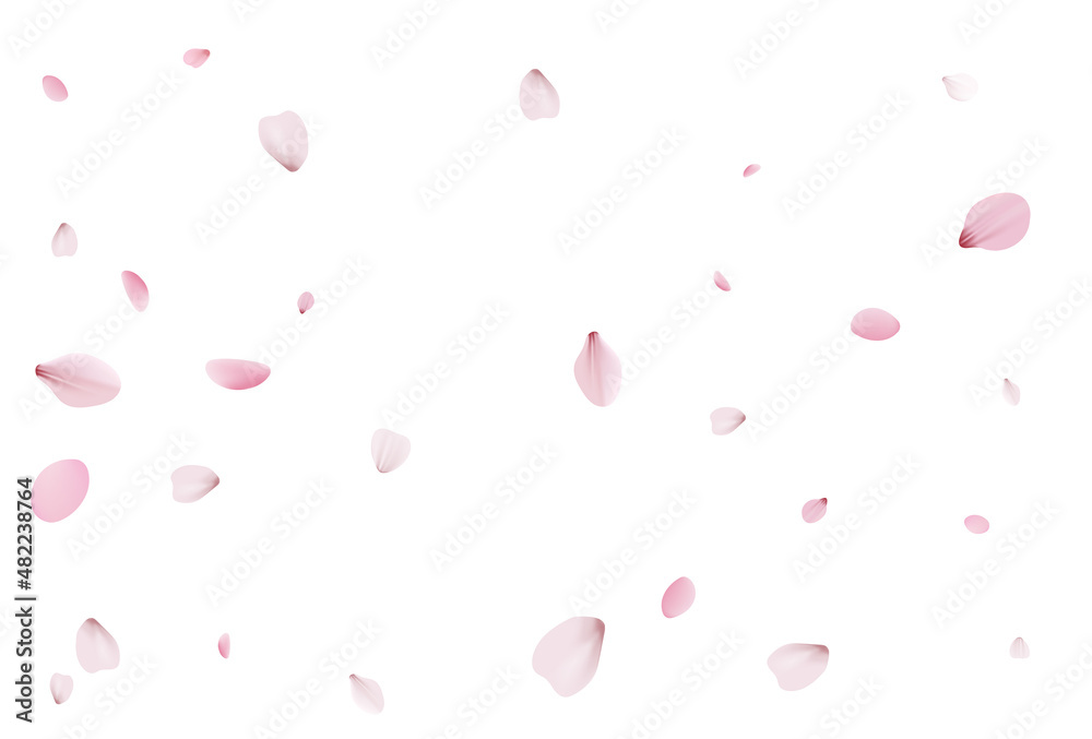 Sakura petals backdrop. Holiday cherry vector