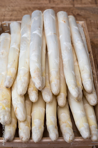 New harvest of ripe white asparagus vegetables ready to cook