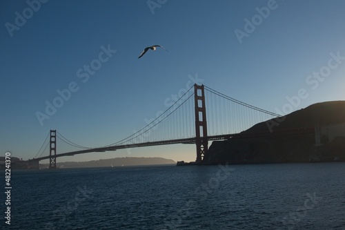 Photography Golden Gage Bridge with seagulls