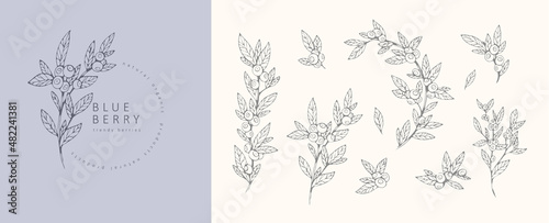 Blueberries floral branchand logo set. Hand drawn line wedding berries, elegant leaves for invitation save the date card. Botanical rustic